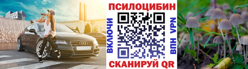 Псилоцибиновые грибы мицелий Данилов